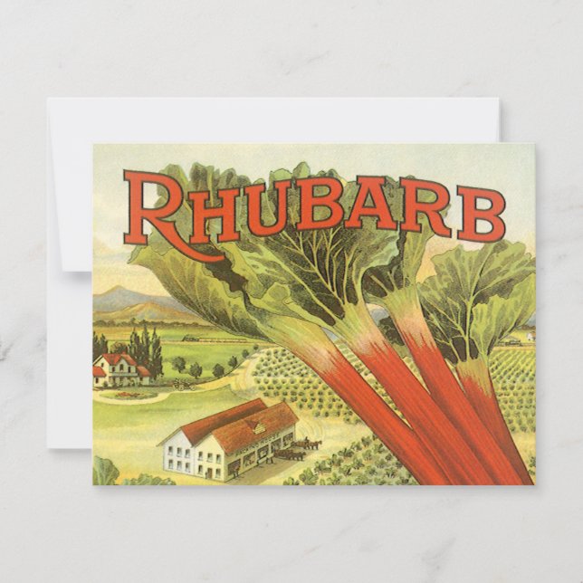 Vintage Vegetable Can Label Art, Rhubarb Farm (Front)