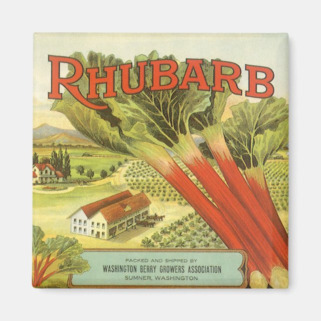 Vintage Vegetable Can Label Art, Rhubarb Farm Magnet (Front)