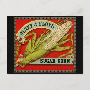 Vintage Vegetable Label, Olney & Floyd Sugar Corn Postcard