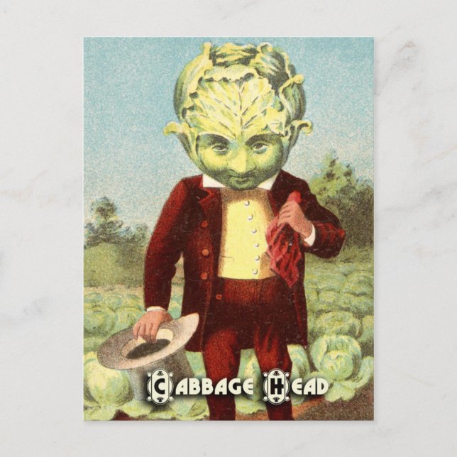 Vintage Vegetable Postcard Series: Cabbage (Front)