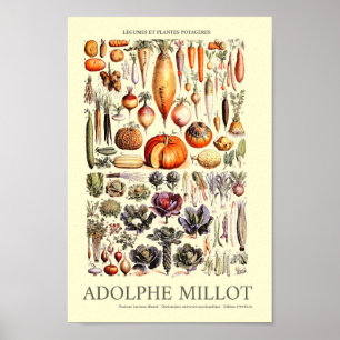 Vintage Vegetable Wall Art by Adolphe Millot