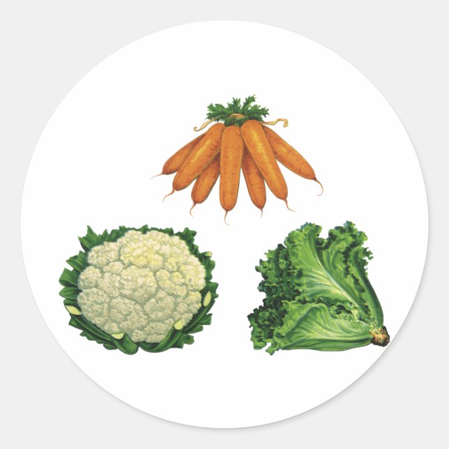 Vintage Vegetables; Carrots, Cauliflower, Lettuce Classic Round Sticker (Front)