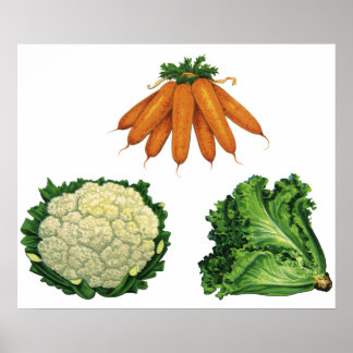 Vintage Vegetables; Carrots, Cauliflower, Lettuce Poster