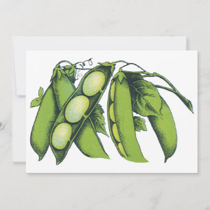 Vintage Vegetables; Lima Beans, Organic Farm Foods