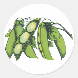 Vintage Vegetables; Lima Beans, Organic Farm Foods Classic Round Sticker