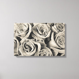 Vintage Velvet Beauty Canvas Print