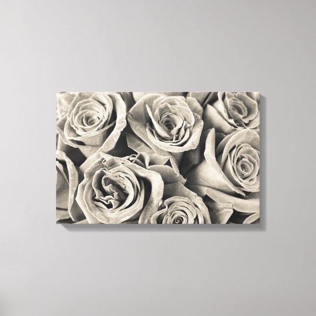 Vintage Velvet Beauty Canvas Print (Front)