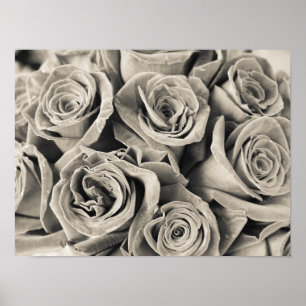 Vintage Velvet Beauty Poster