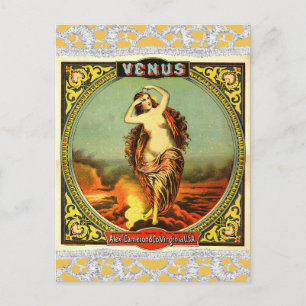 Vintage Venus Ephemera Postcard