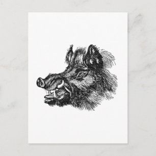 Vintage Vicious Wild Boar w Tusks Template Postcard
