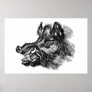Vintage Vicious Wild Boar w Tusks Template Poster