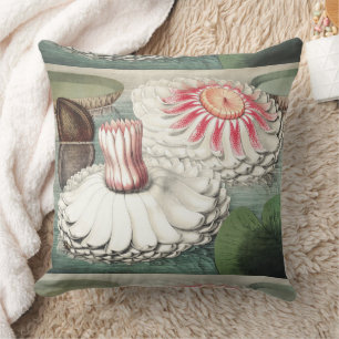 Vintage Victoria Regia Water Lily Art Print Cushion