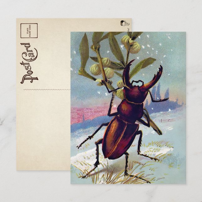 Vintage Victorian Bug Christmas Postcard (Front/Back)