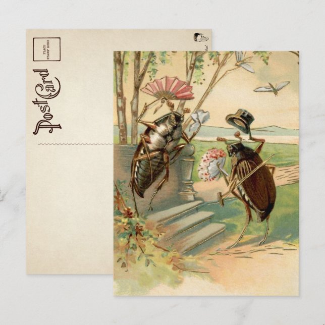 Vintage Victorian Bugs Postcard (Front/Back)
