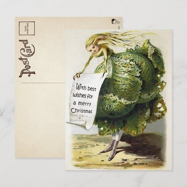 Vintage Victorian Cabbage Christmas Postcard (Front/Back)