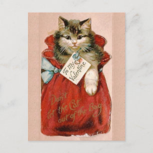 Vintage Victorian Cat In Bag Valentine's Day Holiday Postcard