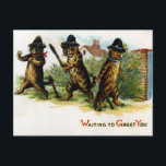 Vintage Victorian Cats Postcard<br><div class="desc">Vintage Victorian cats postcard.  High quality,  custom restored vintage image.</div>