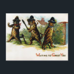 Vintage Victorian Cats Postcard<br><div class="desc">Vintage Victorian cats postcard.  High quality,  custom restored vintage image.</div>