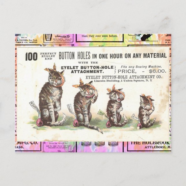 Vintage Victorian Cats With Toothache Postcard (Front)