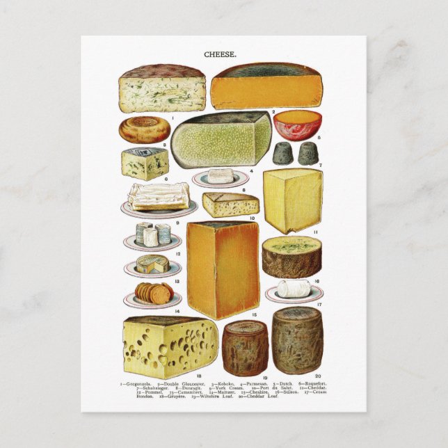 Vintage Victorian Cheese Varieties Illustration Postcard (Front)
