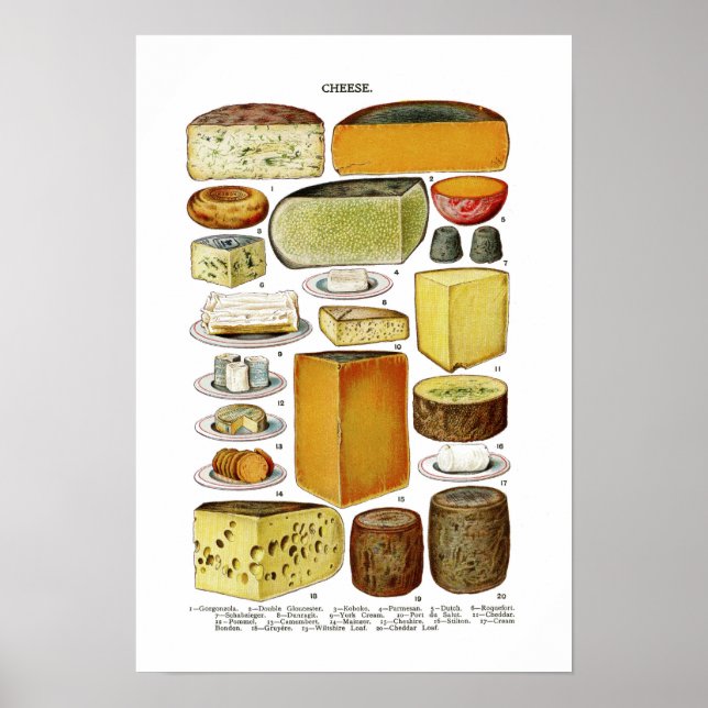Vintage Victorian Cheese Varieties Illustration Poster (Front)