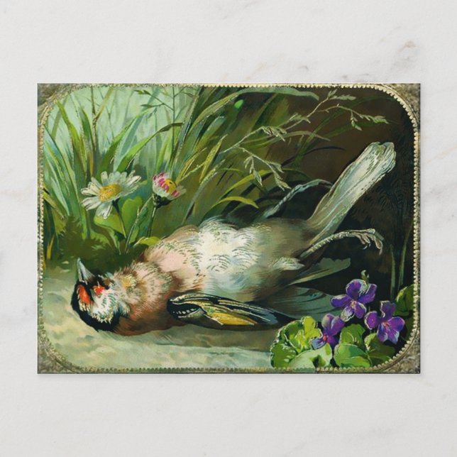 Vintage Victorian Dead Bird Christmas Postcard (Front)