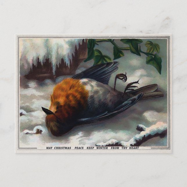 Vintage Victorian Dead Bird Christmas Postcard (Front)