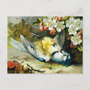 Vintage Victorian Dead Bird Postcard