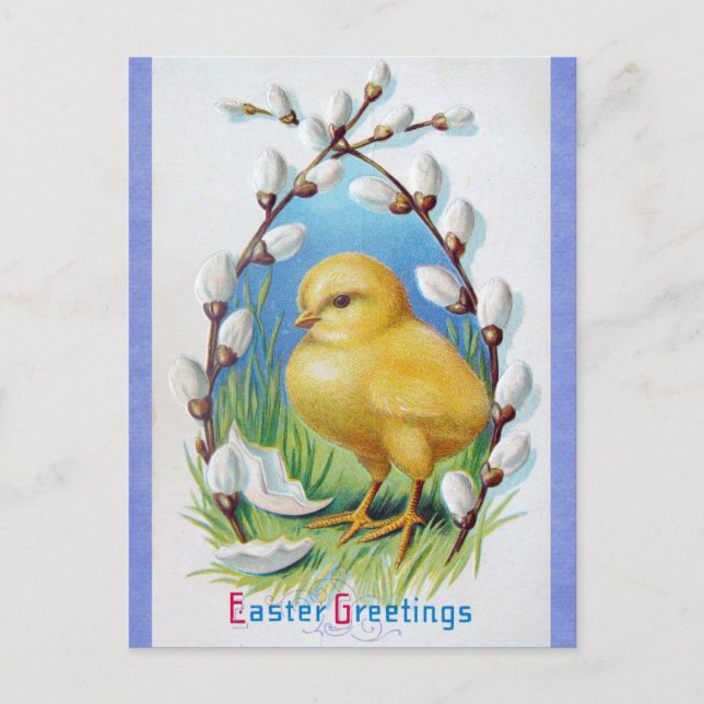 Vintage Victorian Easter Greetings Cute Chick Postcard (Front)
