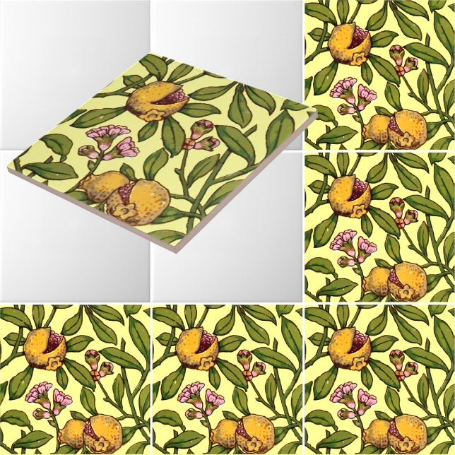 Vintage Victorian Era Pomegranate Pattern Tile (Creator Uploaded)