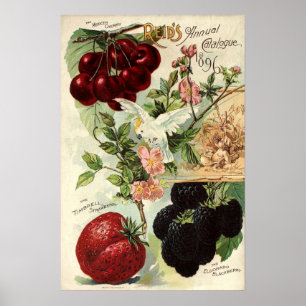 Vintage Victorian Era Reid's Seed Catalog Cover Poster