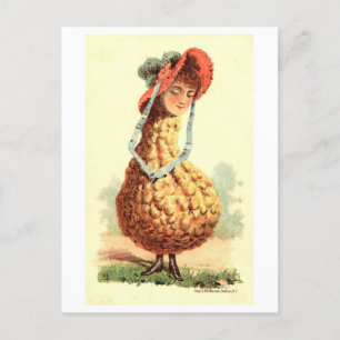 Vintage Victorian Gourd Woman Postcard