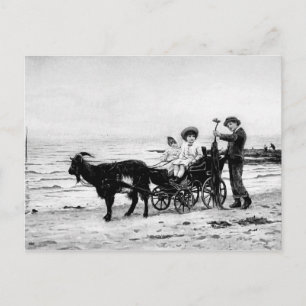 Vintage Victorian Kids Animals Sea Watercolor Postcard