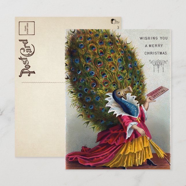 Vintage Victorian Peacock Christmas Postcard  (Front/Back)