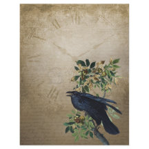 Vintage Victorian Raven Craft Paper - Gothic Realm