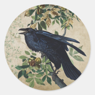 Vintage Victorian Raven Decoupage - Gothic Realm Classic Round Sticker