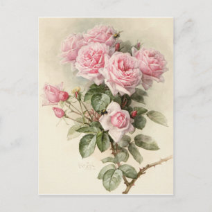 Vintage Victorian Romantic Roses Postcard