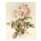 Vintage Victorian Romantic Roses
