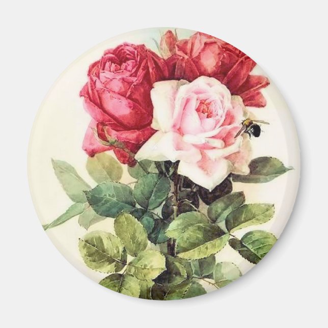 Vintage Victorian Rose Bouquet Magnet (Front)