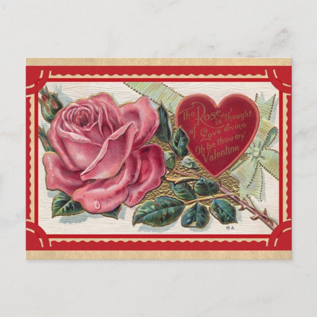 Vintage Victorian Rose Valentines Day Postcard (Front)