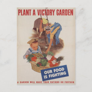 Vintage Victory Garden Postcard