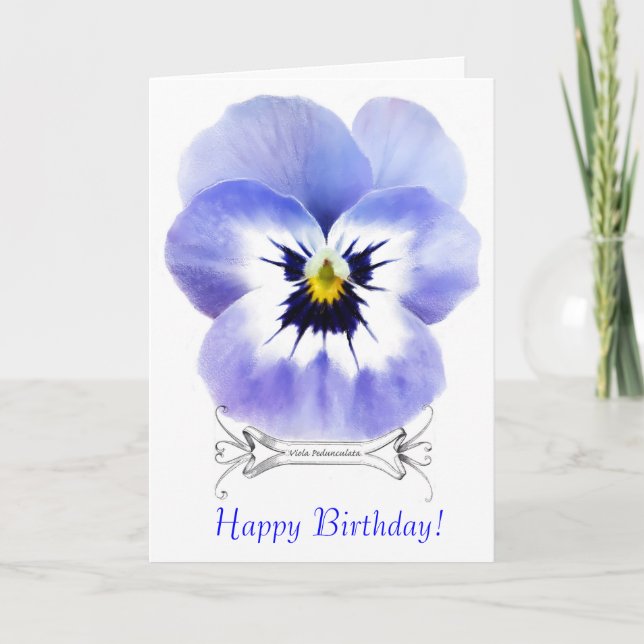 Vintage Viola Greeting Card (Front)