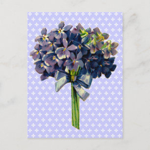 Vintage Violets Postcard