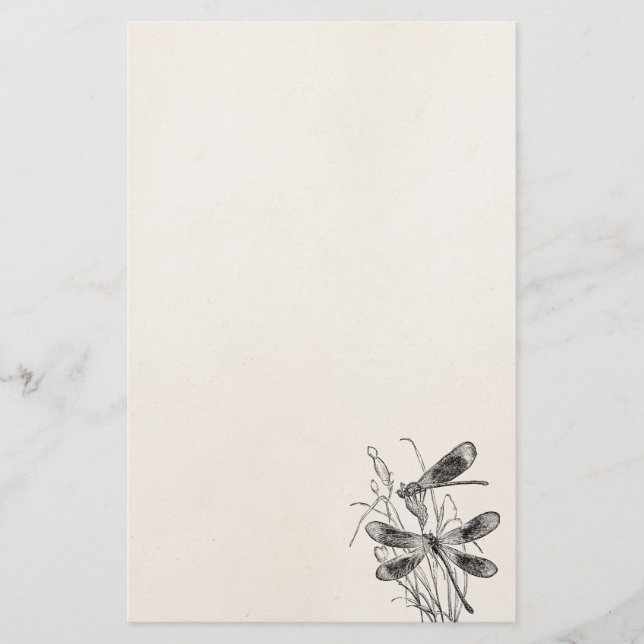 Vintage Virgin Dragonfly Personalised Template Stationery (Front)