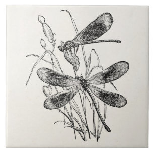 Vintage Virgin Dragonfly Personalised Template Tile