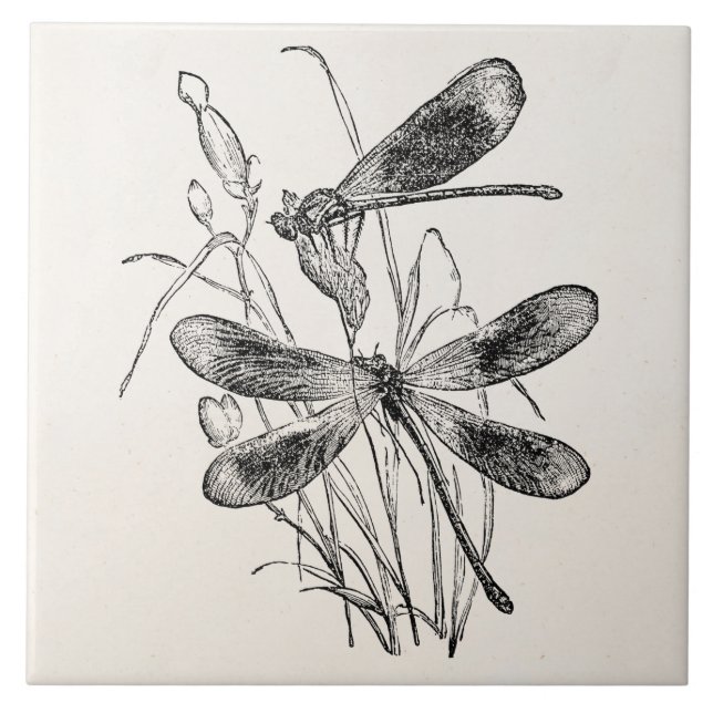 Vintage Virgin Dragonfly Personalised Template Tile (Front)