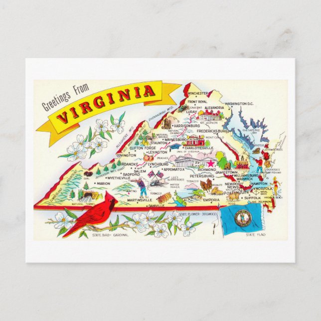 Vintage Virginia Map Travel Postcard (Front)