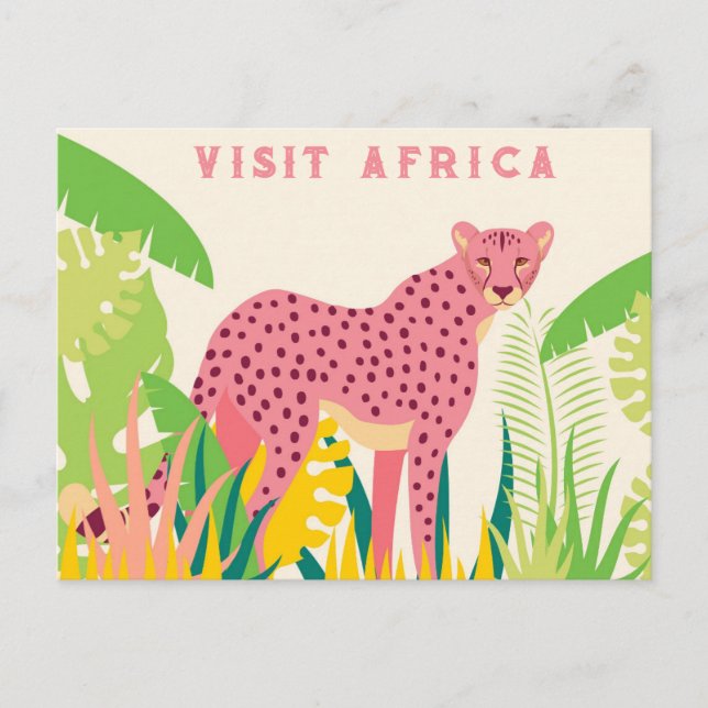 Vintage Visit Africa Pink Cheetah Postcard (Front)