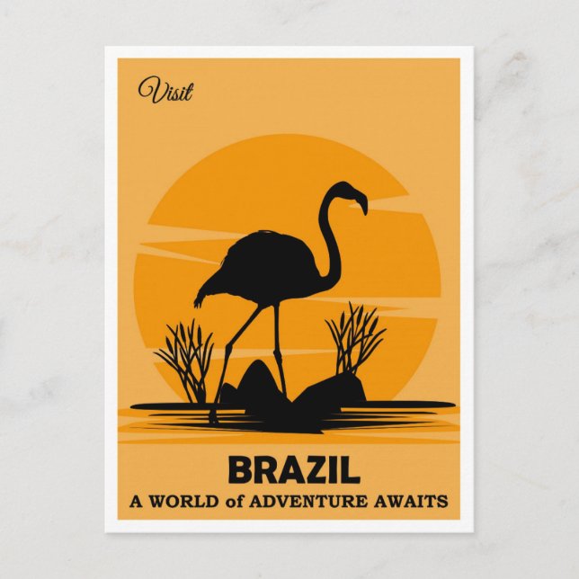 Vintage Visit Brazil Flamingo Travel  Postcard (Front)