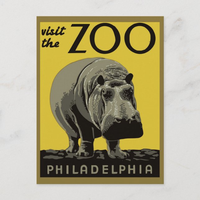 Vintage Visit The Philadelphia Zoo Hippo Travel Postcard (Front)